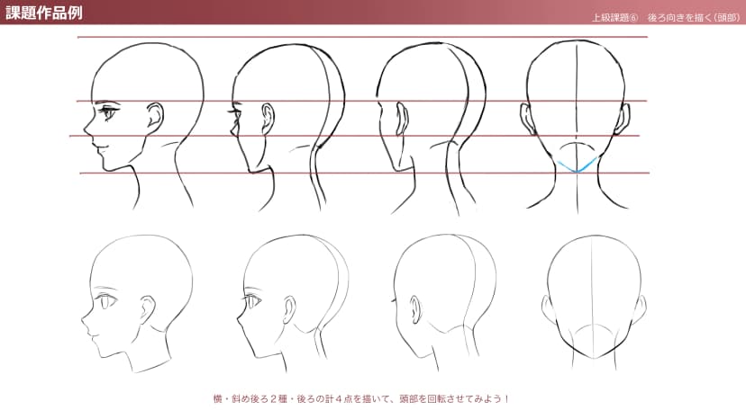Let's draw a head from behind!