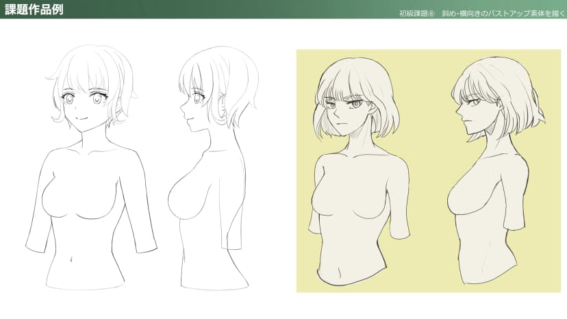 Let's draw bust-up perspective and profile sketches!