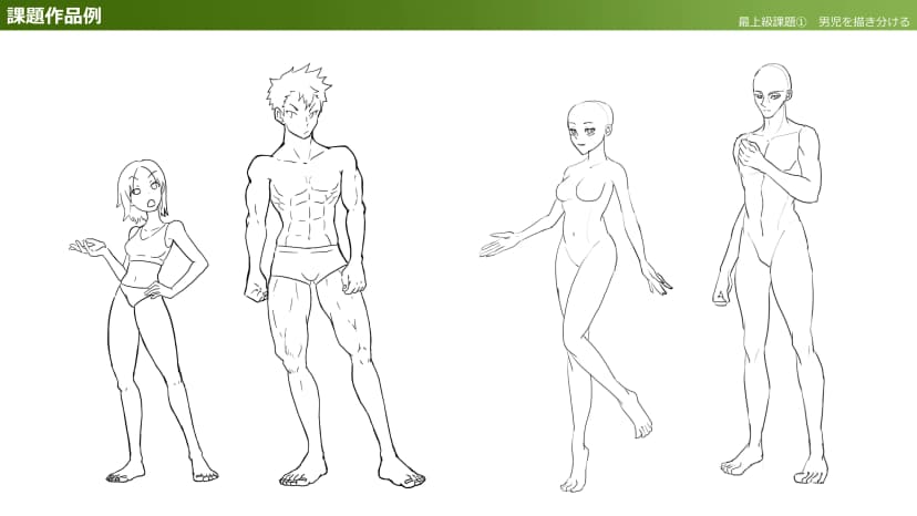 Master drawing male and female characters!
